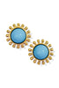 Want It More Turquoise Dome Stone Stud Earrings