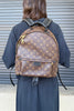 Louis Vuitton Palm Springs Backpack Monogram Canvas MM