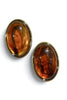 Wildwood Tortoise Drop Earrings