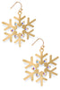 Falling Snowflakes Earrings