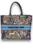 Dior Embroidered Limited Edition Large D-Constellation Book Tote