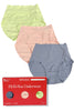 Spanx Fit-To-You Rain Beg Zest Brief Panties 3 Pack