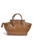 The Canyon Camel Tote Bag