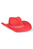 Bell and Whistles Red Studs and Floral Cowgirl Hat
