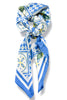 Glimpse Into Life Blue Scarf