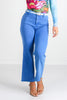 Little Moments Ocean Blue Cropped Wide Leg Jean