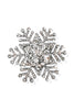 DOORBUSTER Snow Day Snowflake Brooch